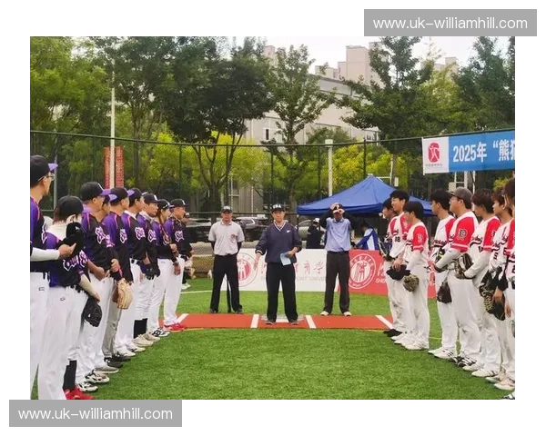 垒球阵容:一次从默契到荣耀的团队升华 垒球阵容:一次从默契到荣耀的团队升华